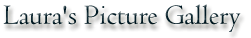 Laura's Picture Gallery