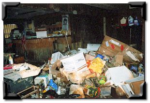 The chaos inside.