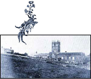 Haworth Parsonage and Church